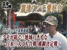 富津に息づく「クモ合戦」　江戸から令和へ　気になるあの記事を「ツイセキ！！」　千葉日報×Ｊ：ＣＯＭコラボ第２２弾