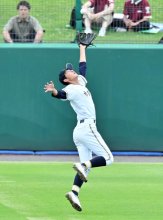 守備で見せ場　市川東　第１０７回全国高校野球　千葉大会　第５日