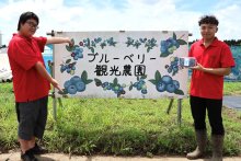 学生観光農園１９日開園　東金・千葉県立農業大学校ブルーベリー販売