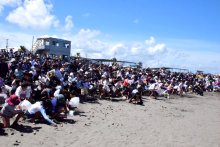 はまぐり祭り盛況　海水浴場オープン　一宮