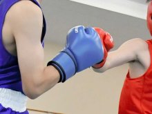 ボクシング　全国高校総体　