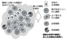 複雑解析も効率よく　個々の細胞を調べる技術　検証進め医学発展貢献　千葉県がんセンター研究所細胞治療開発研究部長　河津正人　【９月はがん征圧月間　ちば　がんにうち克つ】（１４）