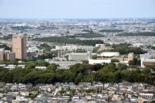 いにしえからの歴史遺産　国庁探し、発掘調査始まる　下総国府（市川）　【ふさの国探宝】