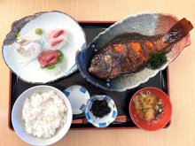 「海の林」保全食べて協力　南房総８日から　漁協食堂が定食　千葉県南部海域磯焼け拡大