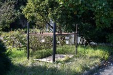 どこにいる？住民困惑　浦安イノシシ騒動　１０日で目撃情報２０件弱　見つけたら静かに退去を　【千葉インサイト】