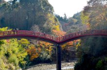 養老渓谷“最後の彩り”　紅葉、初冬の日差しに映え　市原・大多喜　【師走スケッチ２０２５】