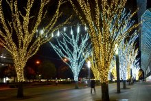 ４０万球、幻想的な輝き　２０日クリスマスマーケット　印西　【師走スケッチ２０２５】