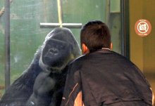 人混み苦手、でもきょうは…　貸切動物園　心ゆくまで　千葉市、障害ある子どもら招待
