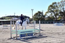 引退競走馬に活躍の場　香取・北総乗馬クラブ　元五輪代表が技術指導　【房総うま物語】（３）