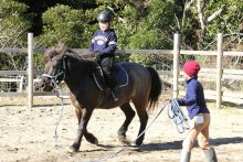 馬の力で発達支援　森の中に牧場、癒やしに　館山　ホースセラピーたてがみ　【房総うま物語】（１３）　