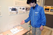 生物の“ややこしさ”紹介　船橋・三番瀬環境学習館　２月１５日まで企画展