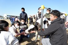乳牛に触れ、酪農学ぶ　いすみ・東小　食と命の大切さ実感