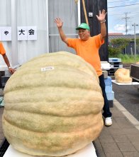 巨大カボチャで日本記録　野田市の測量会社社長　西山寛さん（７６）　【ひと模様】