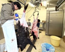 有害鳥獣を地域資源に　ジビエ安定供給と量販対応　合同会社房総山業（木更津市）　【ちばの元気企業】