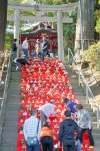 里山舞台にひな飾り　２１日、市原南部で祭り開幕　住民ら準備、成功祈願