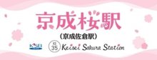 佐倉⇨桜で名所ＰＲ　７日から多彩イベントも