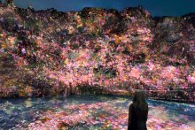 夜の養老渓谷にデジタルアート　１７日から、チームラボ上映・展示