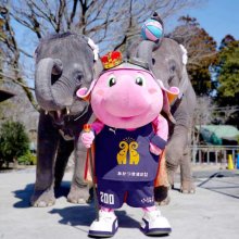 ジャンボくん千葉ジェッツと契約解除→市原ぞうの国「国王」に！？　「エイプリルフール投稿」が話題に