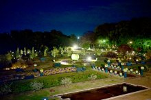 「ボタニカミュージアム」全面開業　稲毛海浜公園、夜間営業も拡大　２階刷新、アーティストの展示空間に