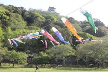 色とりどりこいのぼり　晴天の下スイスイ　館山城に１６０匹