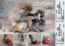 子ザルの「パンチ」応援、特別乗車券　北総鉄道２９日から　地域活性化へ市川市と連携