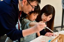 「ビッグダルマ落とし」や「カラフル試験管」　 千葉市科学館で企画展、親子で楽しい実験挑戦　