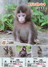 パンチ応援第２弾乗車券　成長する姿の写真散りばめ　北総鉄道１７日発売