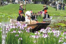 【動画あり】嫁入り舟で晴れ姿披露　来園者の祝福に笑顔　香取・あやめパーク