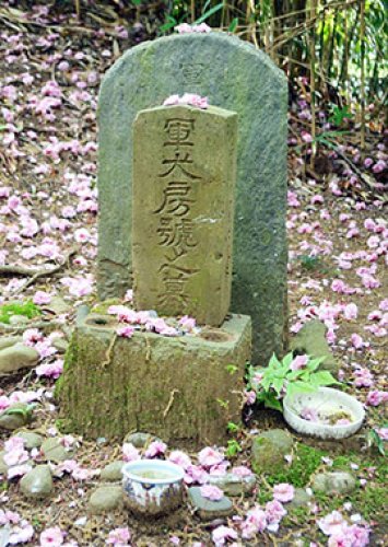 兵士が飛び降り訓練　軍都の歴史伝える遺構　佐倉城址公園の１２階段　【わが町おもしろ発見！？】（６）