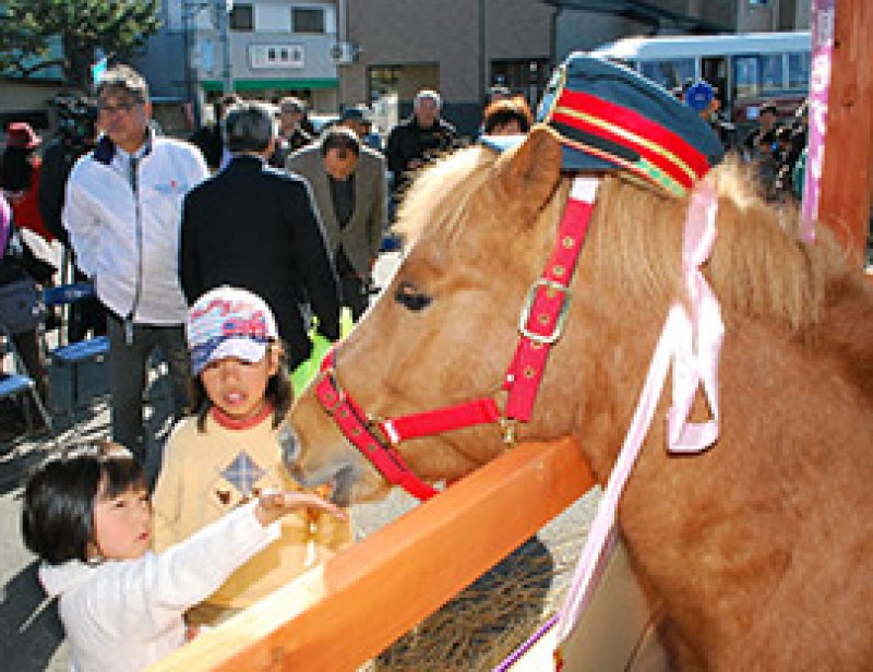 馬来田駅に「馬が来た」　駅名にちなみイベント　「マーくん」１日駅長　木更津