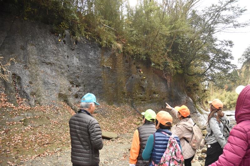 「チバニアン」命名の決め手となった市原市田淵の地磁気逆転地層＝２０１９年１２月１５日、同市の養老川沿い
