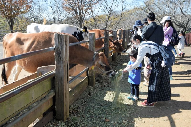 成田ゆめ牧場