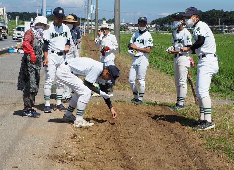 地域住民と協力してコスモスの種まき作業に取り組む袖ケ浦高生＝袖ケ浦市