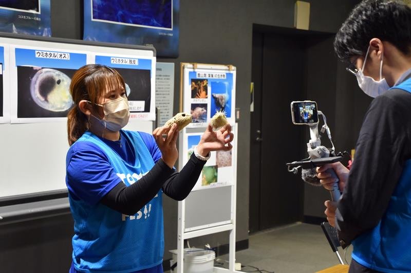 ハリセンボンやクジラの骨など、館山の海辺で見つかった珍しい物を紹介する川名さん（左）＝６日、館山市