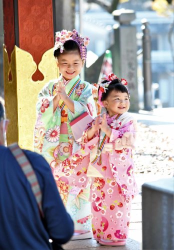 【写真複数あり】成田山、晴れ晴れ七五三　赤やピンク、境内華やかに