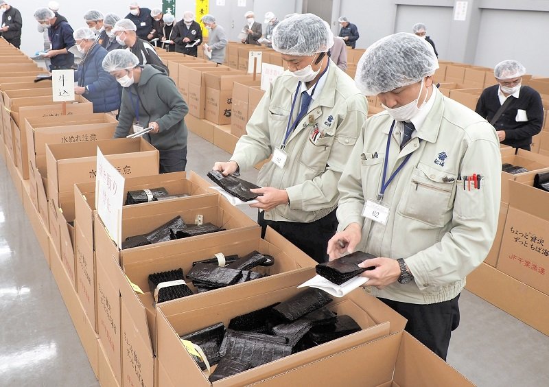 初競りに出品される新ノリの色つや、香りを確認する業者ら＝２７日、富津市