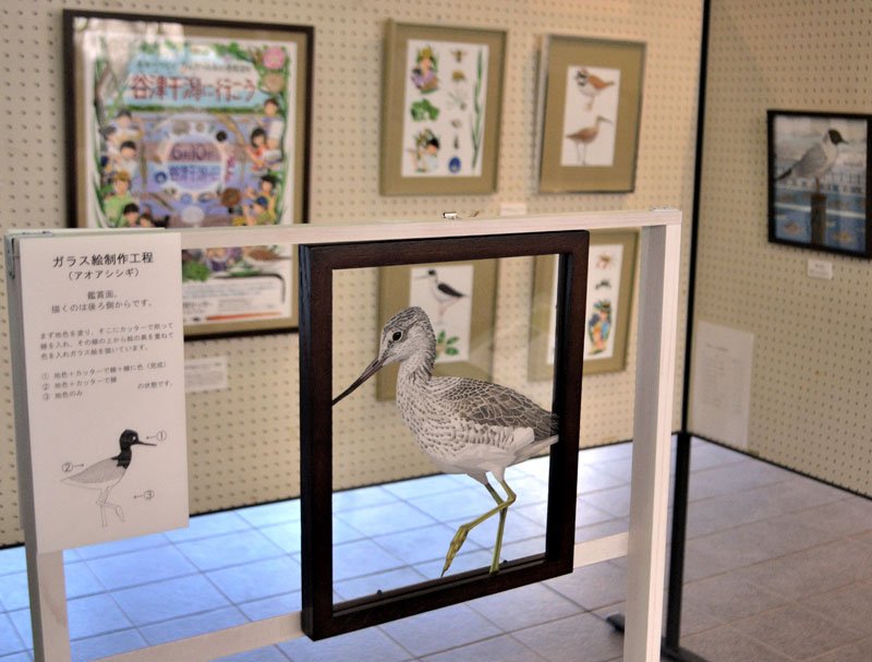 谷津干潟自然観察センターで開催中の「鳥と暮らし展」＝習志野市
