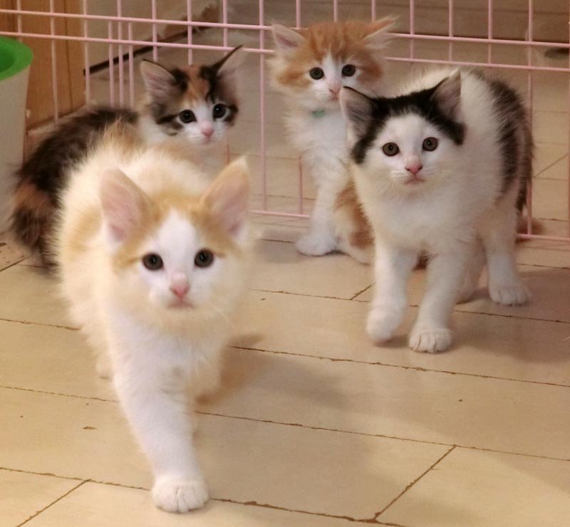 ※写真はイメージ