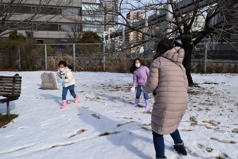 公園で雪遊びをする親子＝１１日、千葉市中央区
