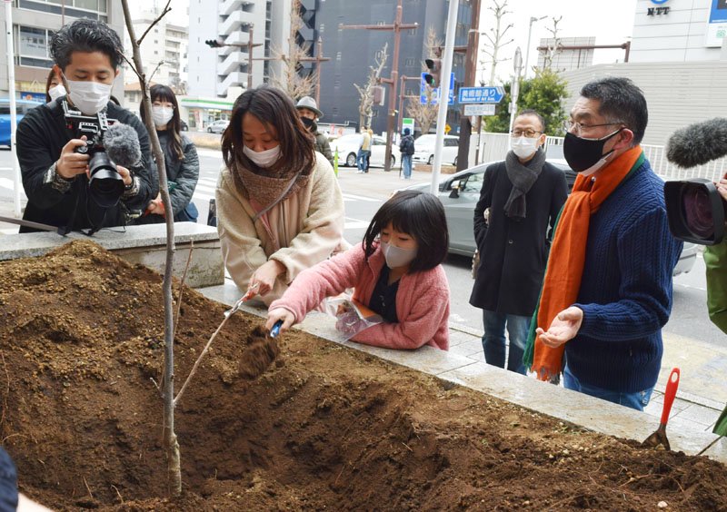 被爆した柿の木から育てた苗木を植える宮島さん（右端）子どもたち＝１９日、千葉市美術館