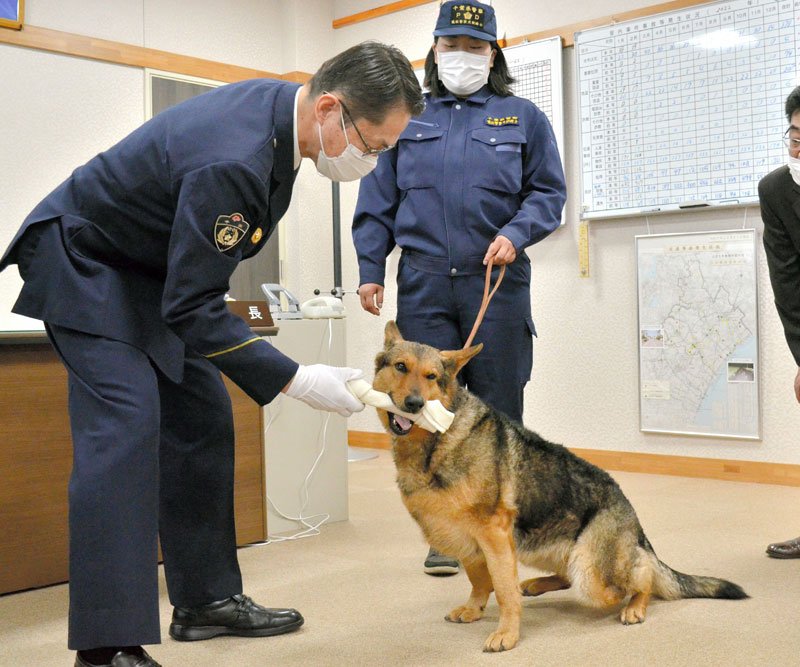 犬用のガムをプレゼントされるエレナ号。奥は大野さん＝山武署