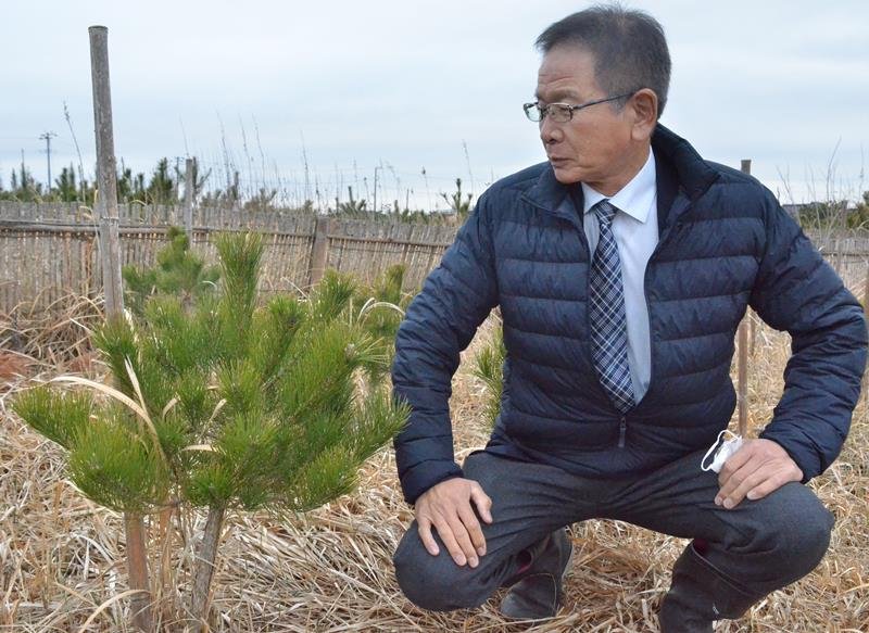 山武市青少年育成市民会議が植樹した幼木を見る戸村会長＝山武市
