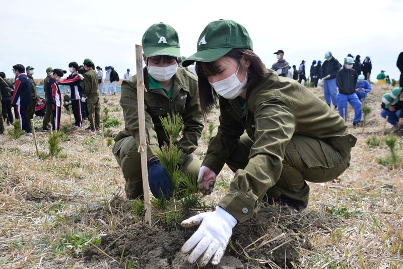 苗の植え付け作業をする生徒＝旭市
