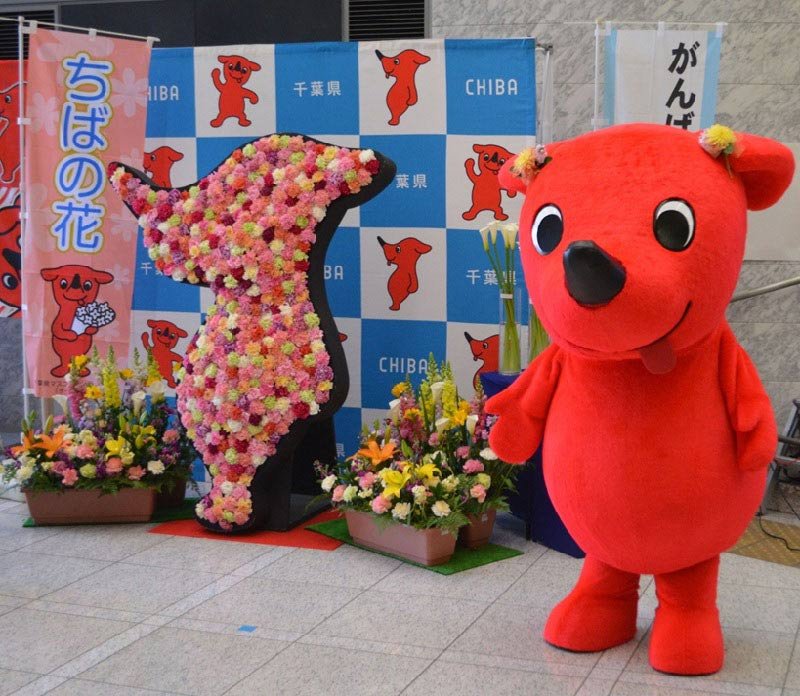 千葉県で大型犬逃亡のニュースが相次ぎ、チーバくんの“関連性”を疑う声も