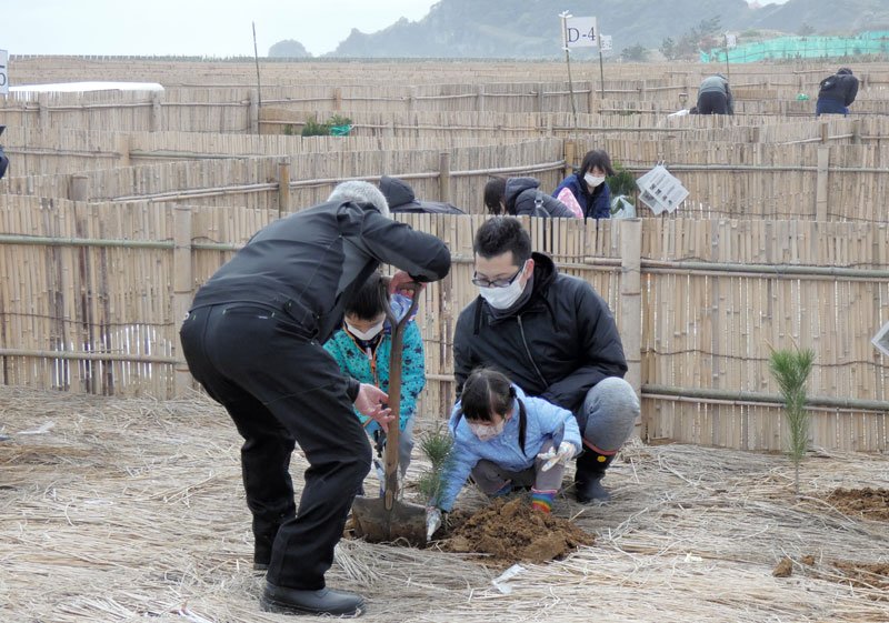 クロマツを植樹する子どもら＝１６日、一宮町の釣ケ崎海岸
