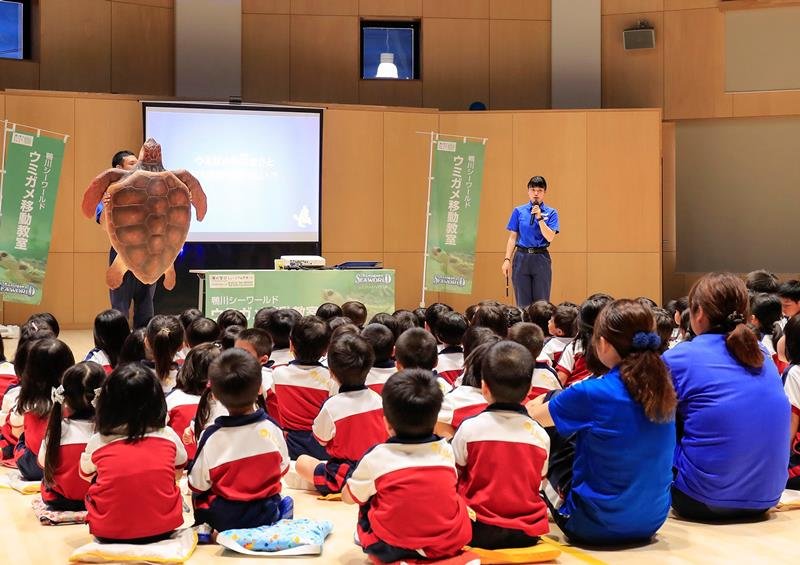 ６月から再開される人気の「ウミガメ移動教室」（鴨川シーワールド提供）