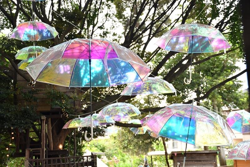 光やダンス…華やかな夜を　大賀ハス開花７０年　「夜ハス」節目彩る　６月９～１１日、千葉公園