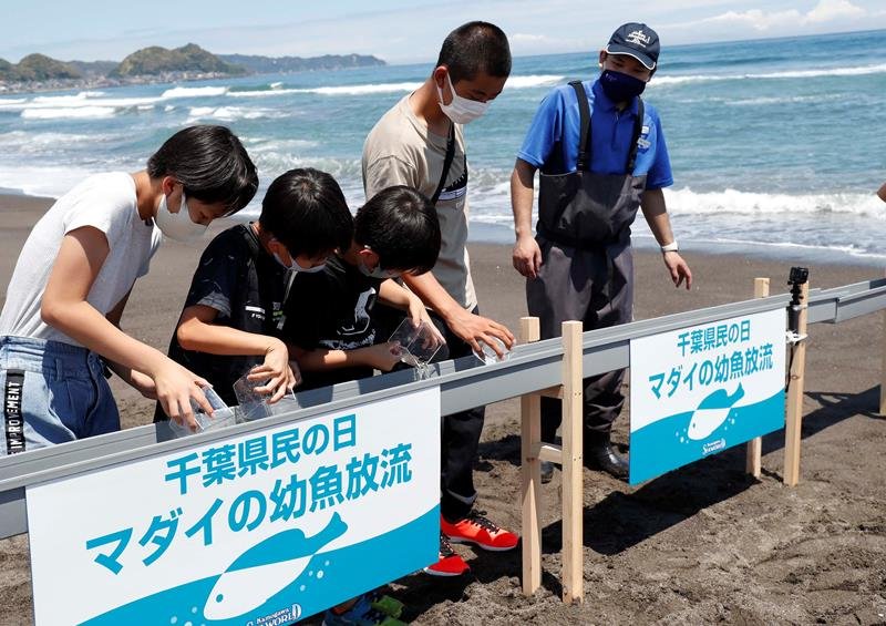 昨年のマダイ放流体験の様子（鴨川シーワールド提供）
