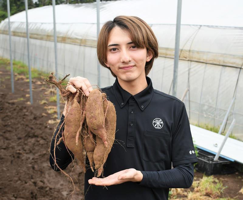成田のサツマイモ農家･富岡優人さん