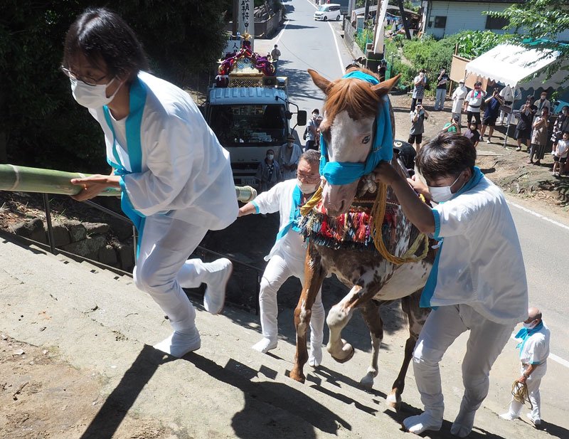 石段を一気に駆け上がる神馬＝２３日、君津市